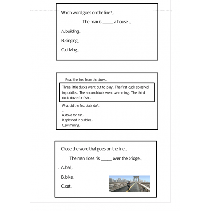 Reading Comprehension Worksheet